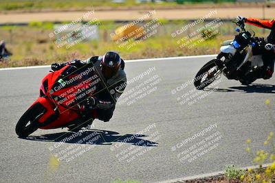 media/May-10-2024-2WTD (Fri) [[c88d7990af]]/Group C/Session 2-The Bowl/